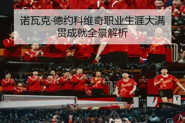 诺瓦克·德约科维奇职业生涯大满贯成就全景解析